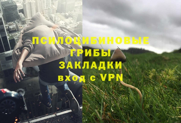 apvp Дмитров