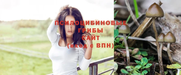 прущая мука Новодвинск