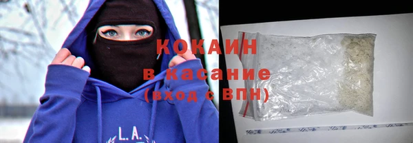 соль ск Новозыбков