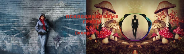 соль ск Новозыбков