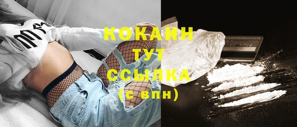 соль ск Новозыбков