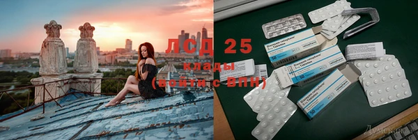 соль ск Новозыбков
