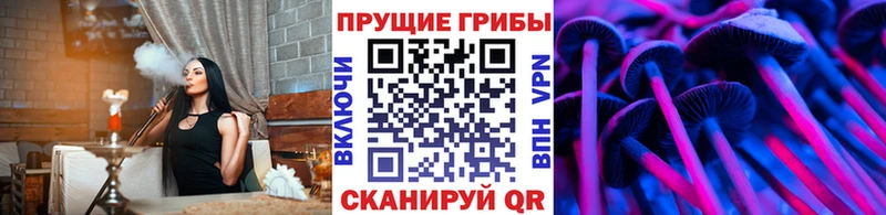 mega ONION  Рузаевка  Псилоцибиновые грибы GOLDEN TEACHER 