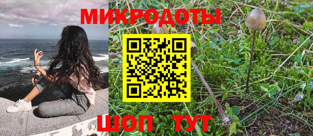 Галлюциногенные грибы ЛСД Рузаевка