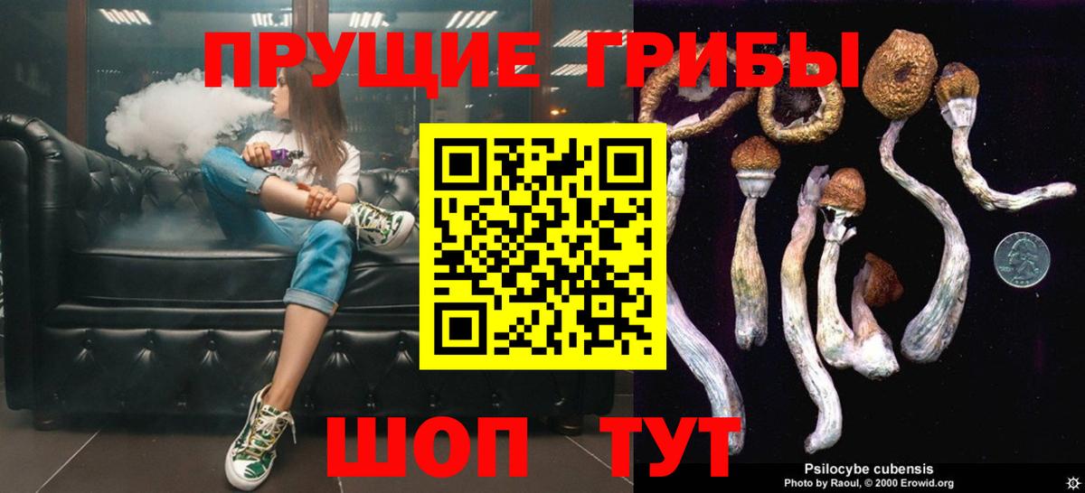 Псилоцибиновые грибы мухоморы  Вход с VPN  как найти закладки  Рузаевка 